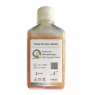 AQmv06600-500ml 优级胎牛血清（FBS） 500ml